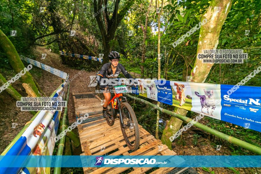 Circuito AEJ de Mountain Bike 2022