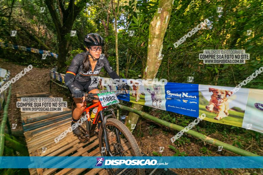 Circuito AEJ de Mountain Bike 2022