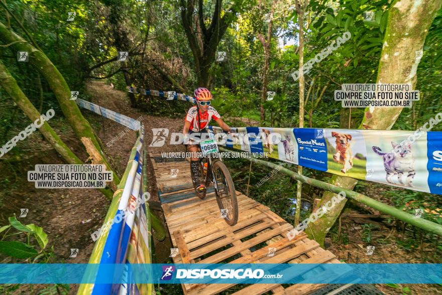 Circuito AEJ de Mountain Bike 2022