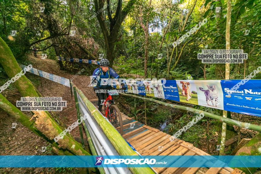 Circuito AEJ de Mountain Bike 2022