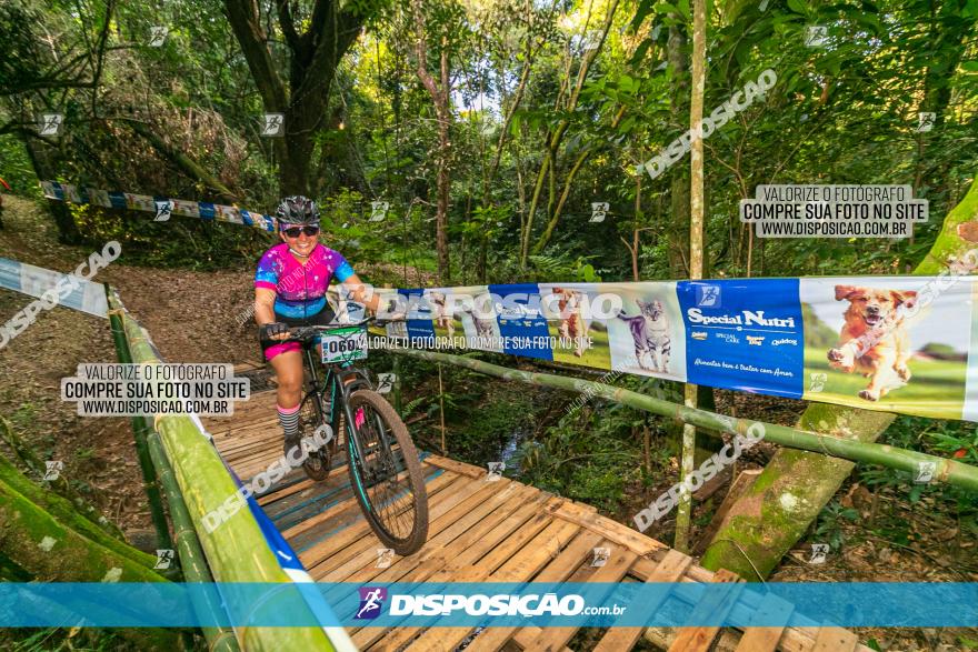 Circuito AEJ de Mountain Bike 2022