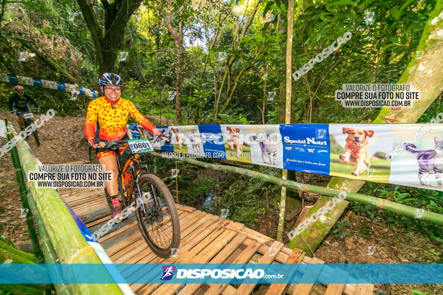 Circuito AEJ de Mountain Bike 2022