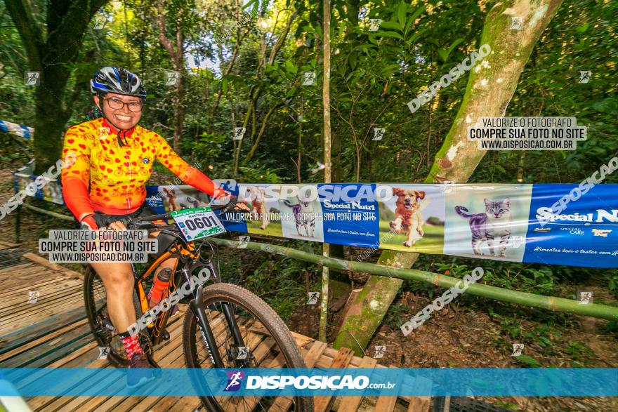 Circuito AEJ de Mountain Bike 2022