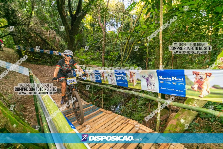 Circuito AEJ de Mountain Bike 2022