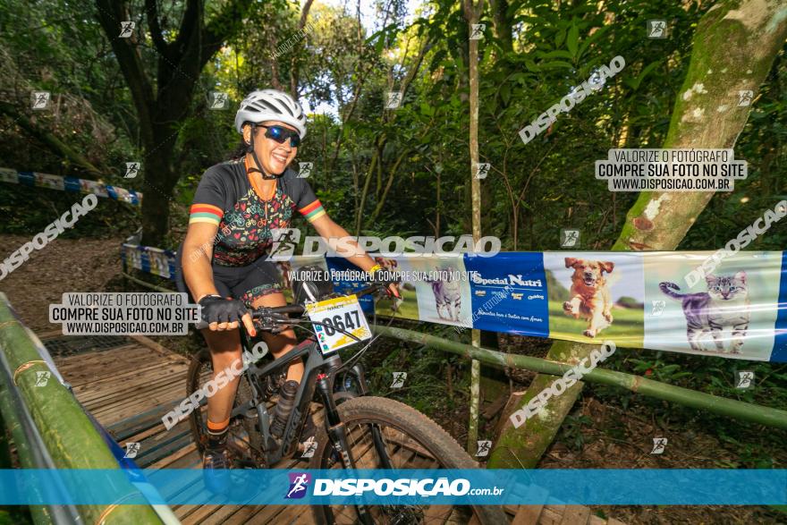 Circuito AEJ de Mountain Bike 2022