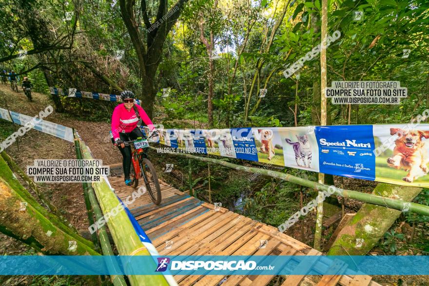 Circuito AEJ de Mountain Bike 2022