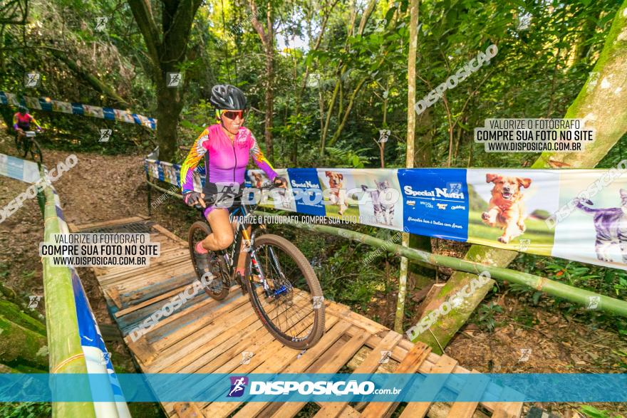 Circuito AEJ de Mountain Bike 2022