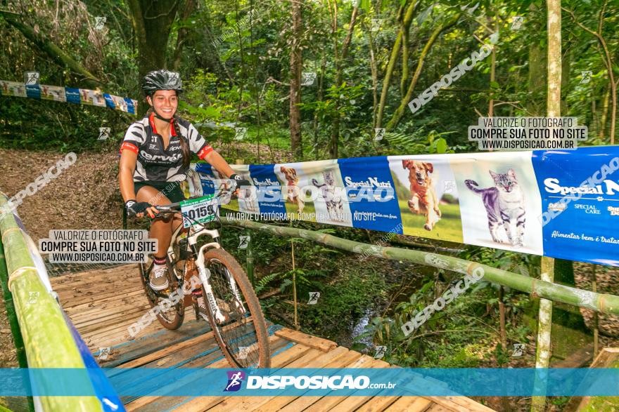 Circuito AEJ de Mountain Bike 2022