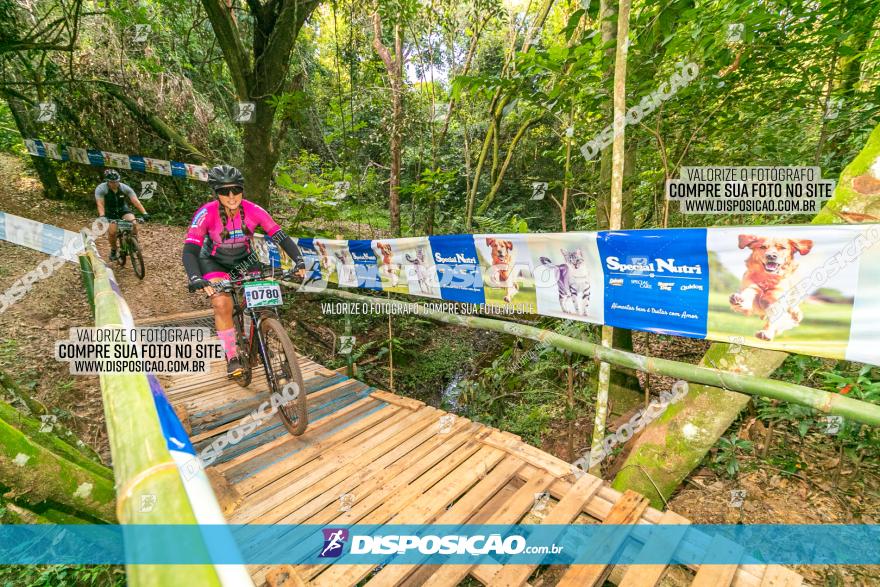 Circuito AEJ de Mountain Bike 2022