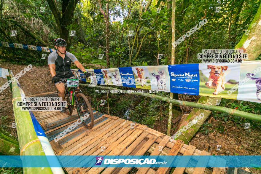 Circuito AEJ de Mountain Bike 2022