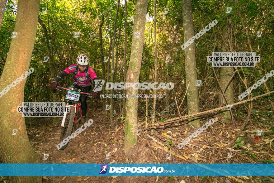 Circuito AEJ de Mountain Bike 2022