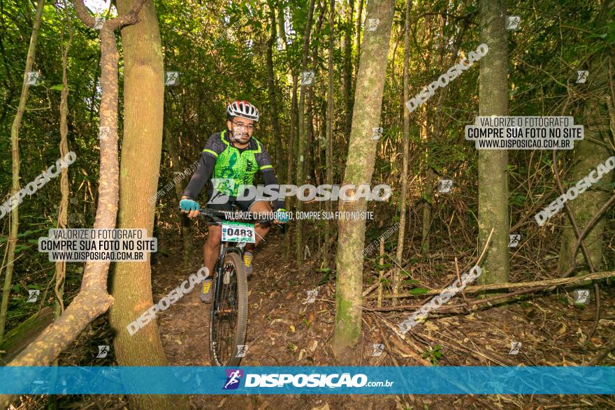 Circuito AEJ de Mountain Bike 2022