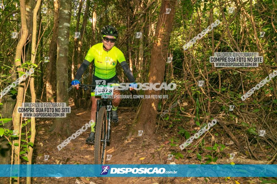 Circuito AEJ de Mountain Bike 2022