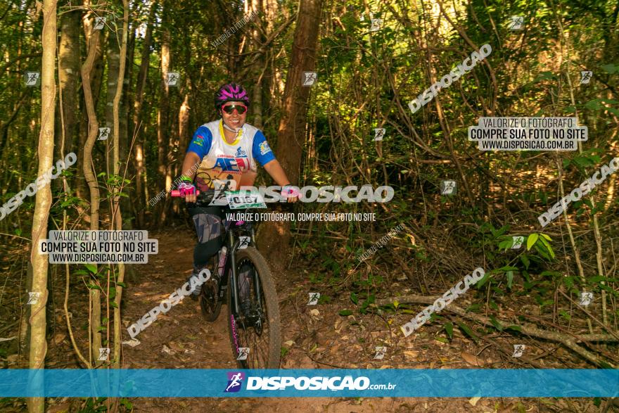 Circuito AEJ de Mountain Bike 2022