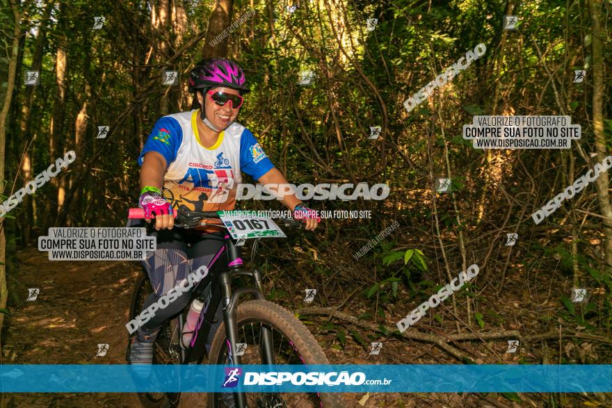 Circuito AEJ de Mountain Bike 2022