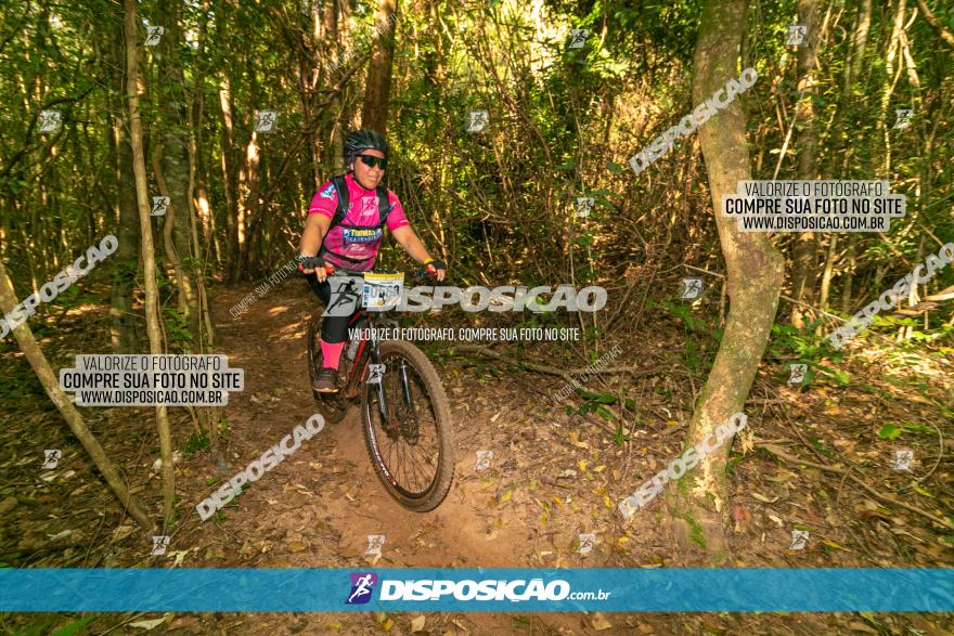 Circuito AEJ de Mountain Bike 2022