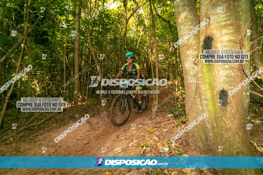 Circuito AEJ de Mountain Bike 2022