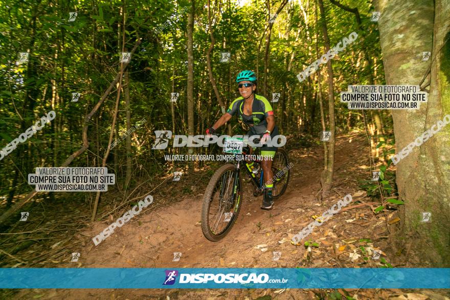 Circuito AEJ de Mountain Bike 2022