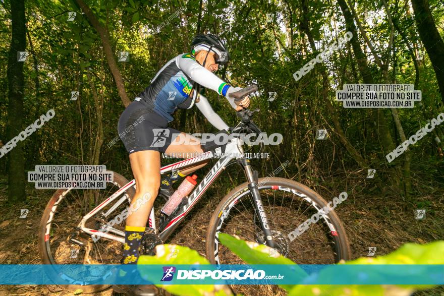 Circuito AEJ de Mountain Bike 2022