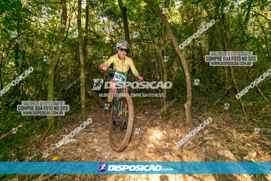 Circuito AEJ de Mountain Bike 2022