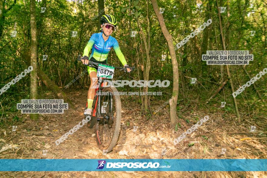 Circuito AEJ de Mountain Bike 2022