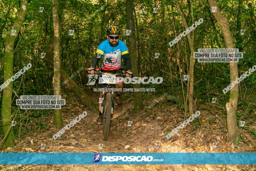 Circuito AEJ de Mountain Bike 2022