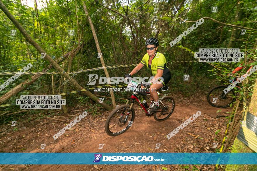 Circuito AEJ de Mountain Bike 2022