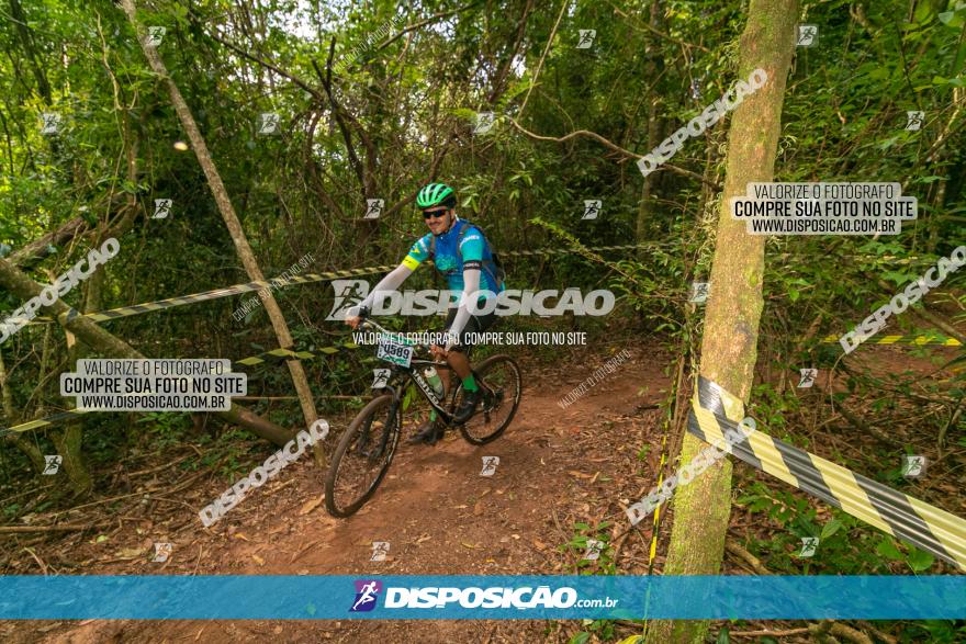 Circuito AEJ de Mountain Bike 2022