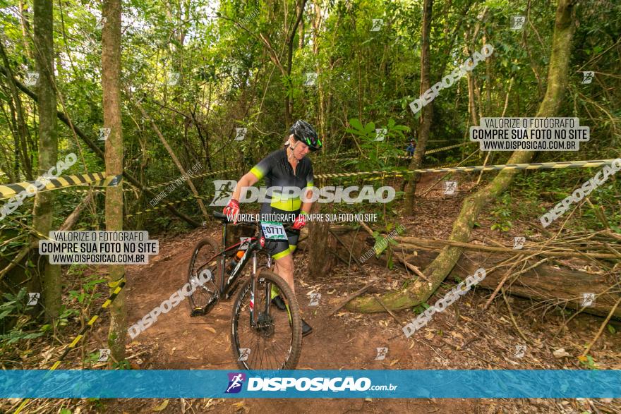 Circuito AEJ de Mountain Bike 2022