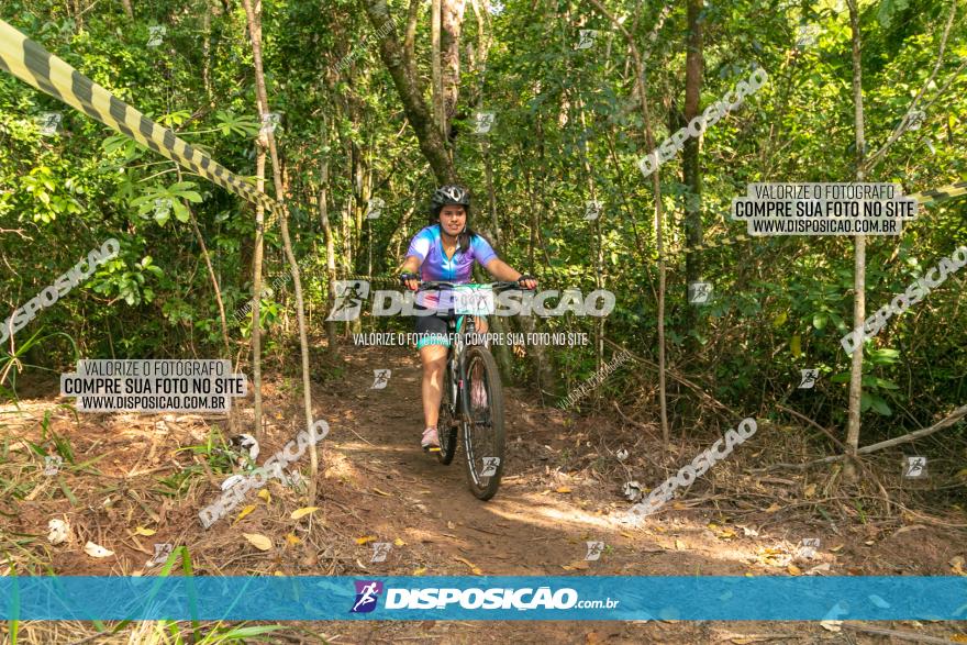 Circuito AEJ de Mountain Bike 2022