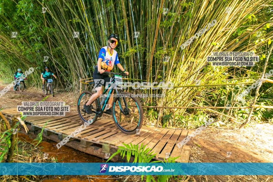 Circuito AEJ de Mountain Bike 2022