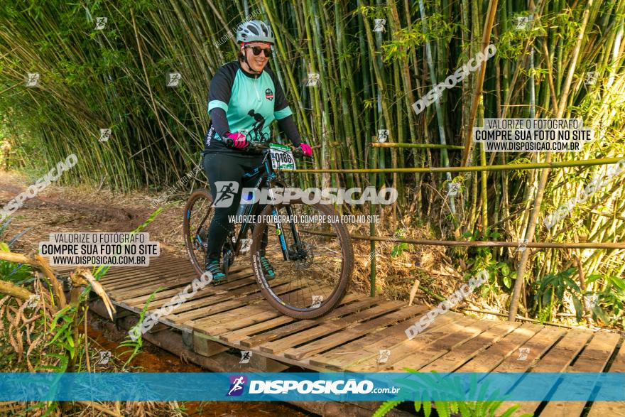 Circuito AEJ de Mountain Bike 2022