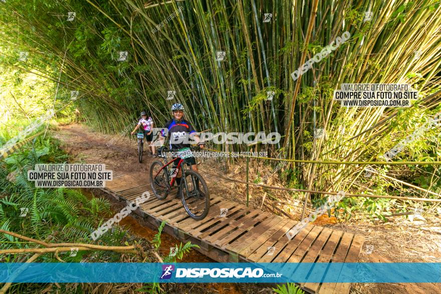 Circuito AEJ de Mountain Bike 2022