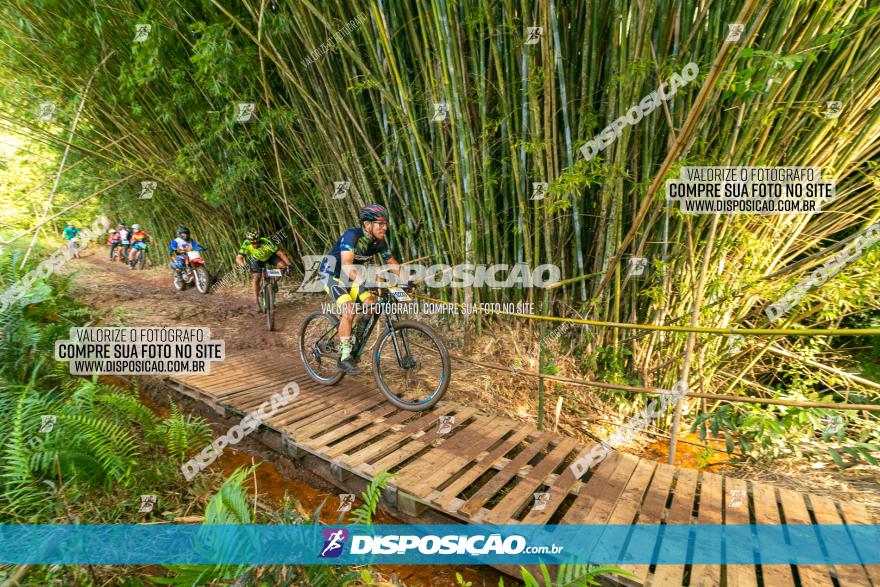 Circuito AEJ de Mountain Bike 2022