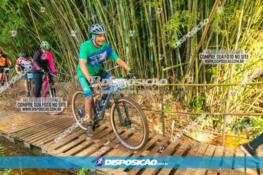 Circuito AEJ de Mountain Bike 2022