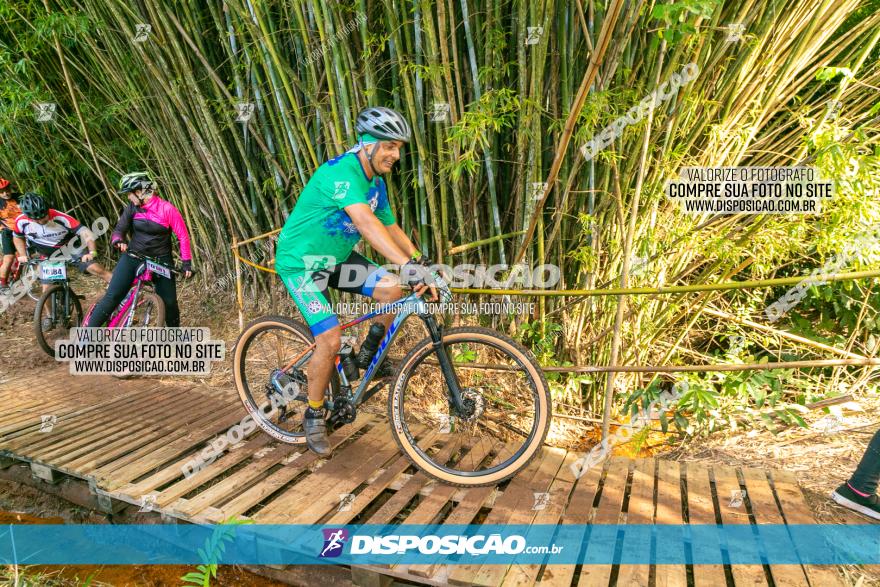 Circuito AEJ de Mountain Bike 2022