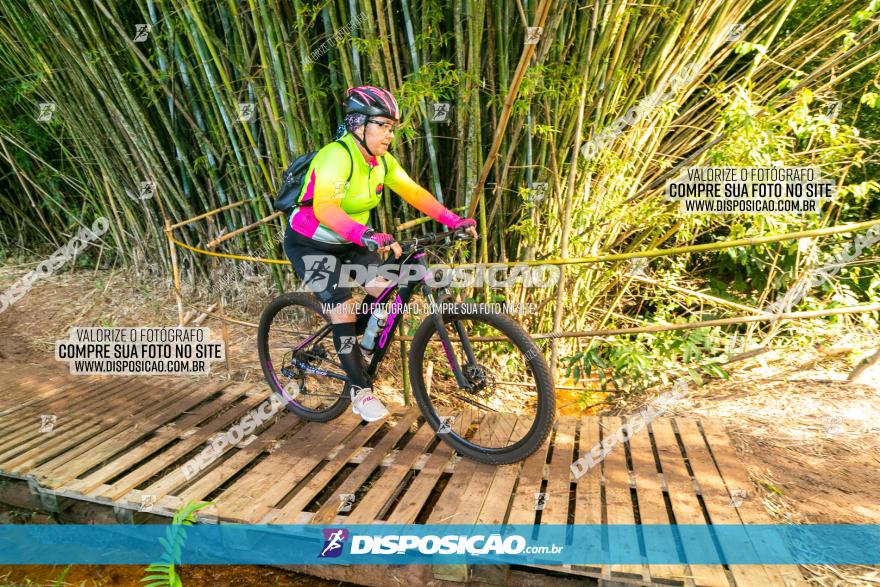 Circuito AEJ de Mountain Bike 2022