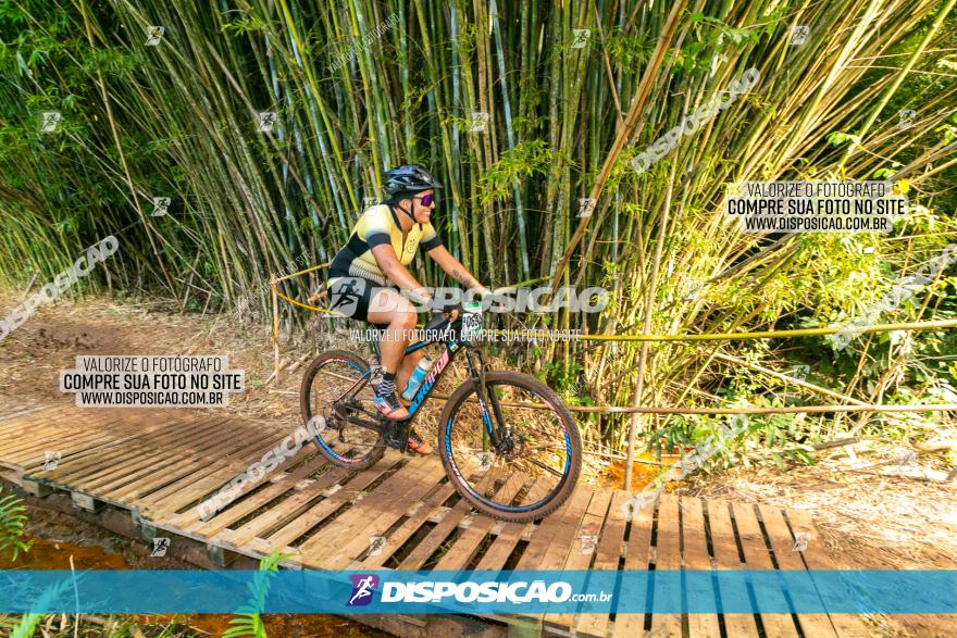 Circuito AEJ de Mountain Bike 2022