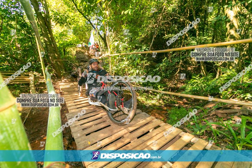 Circuito AEJ de Mountain Bike 2022