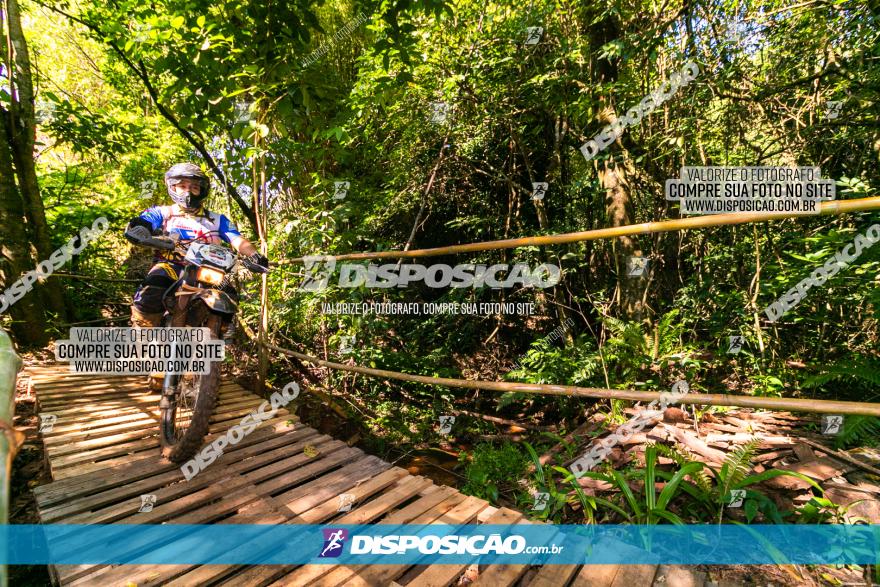 Circuito AEJ de Mountain Bike 2022