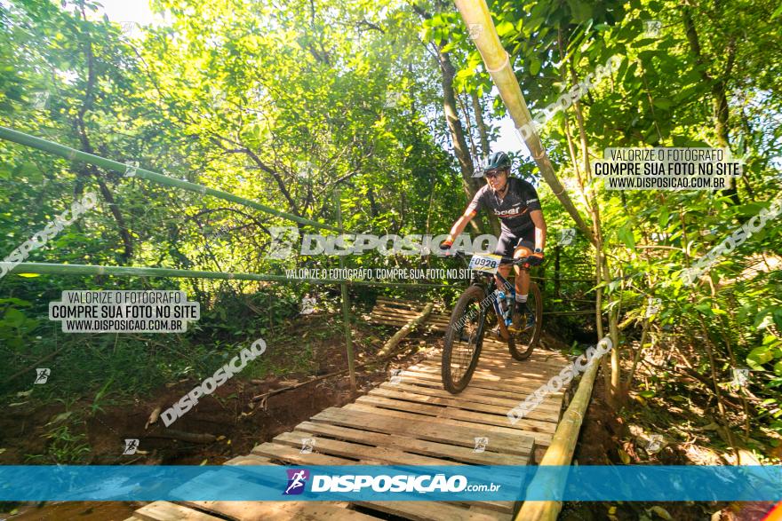 Circuito AEJ de Mountain Bike 2022