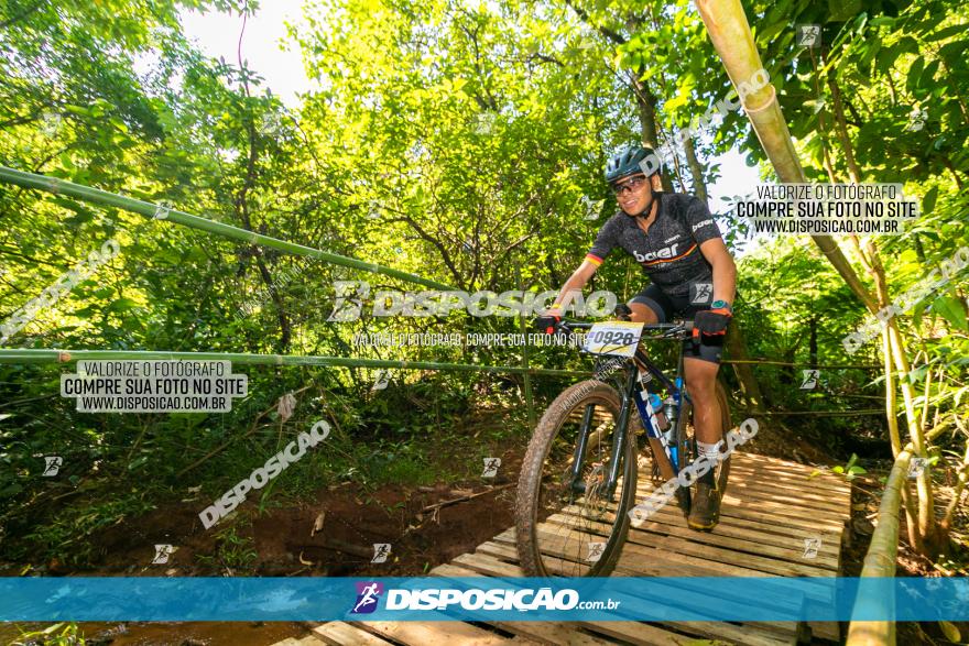 Circuito AEJ de Mountain Bike 2022