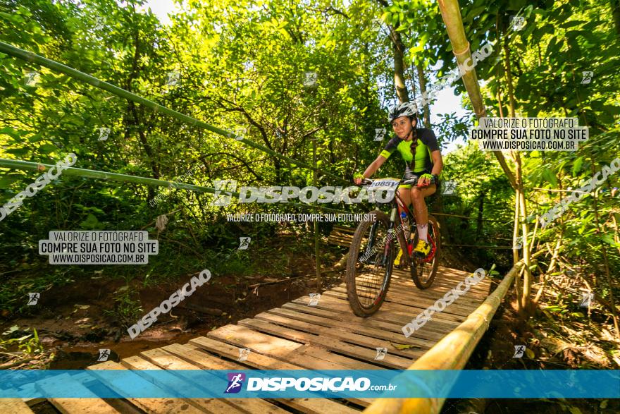 Circuito AEJ de Mountain Bike 2022