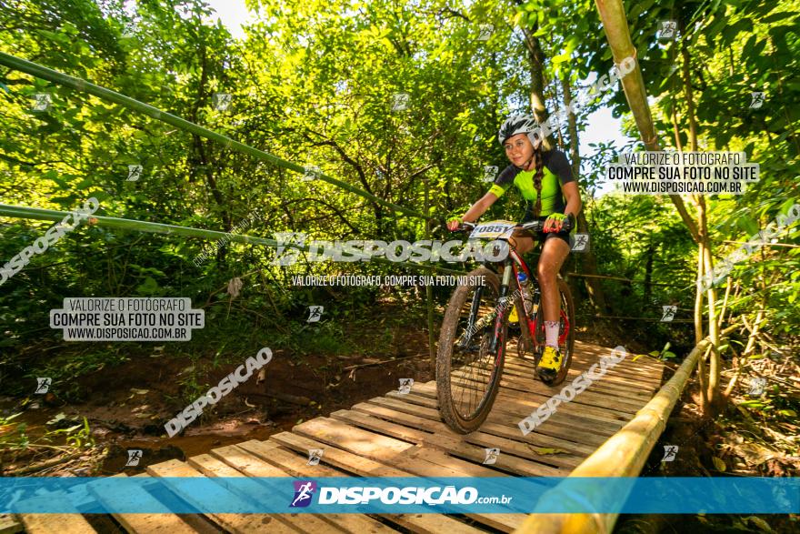 Circuito AEJ de Mountain Bike 2022