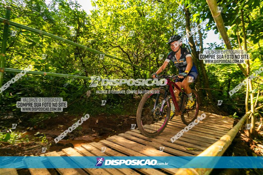 Circuito AEJ de Mountain Bike 2022