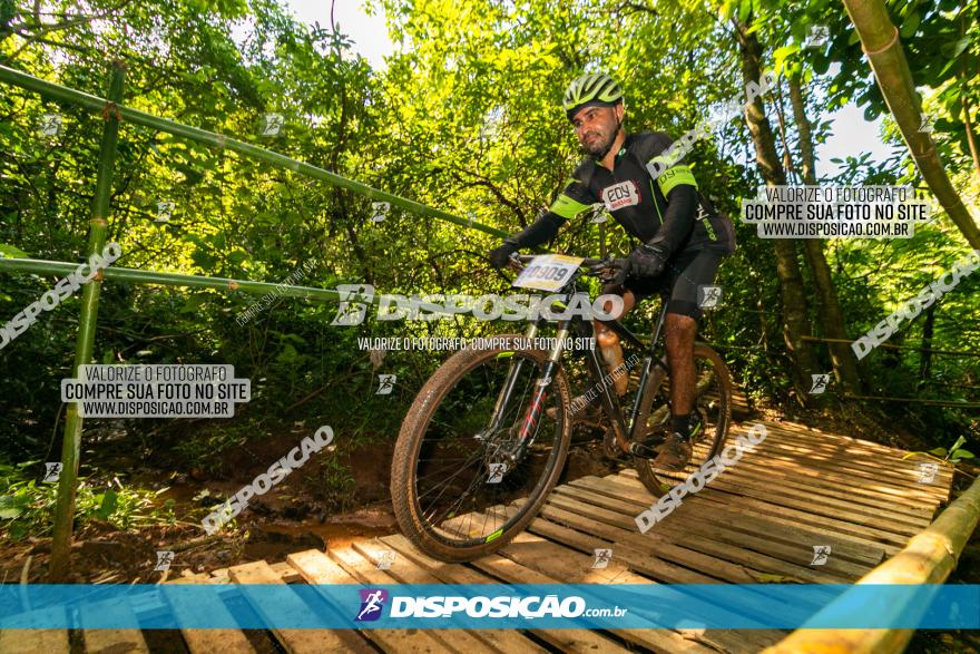 Circuito AEJ de Mountain Bike 2022