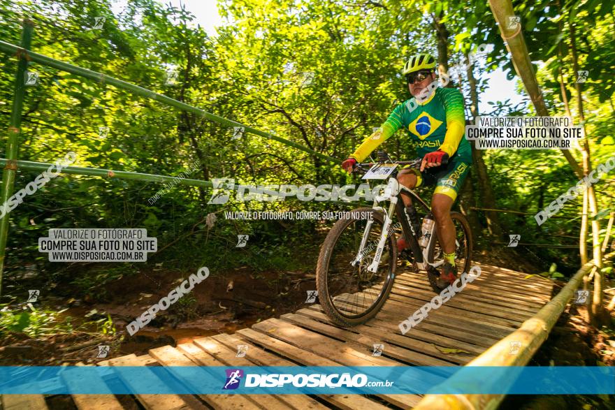 Circuito AEJ de Mountain Bike 2022