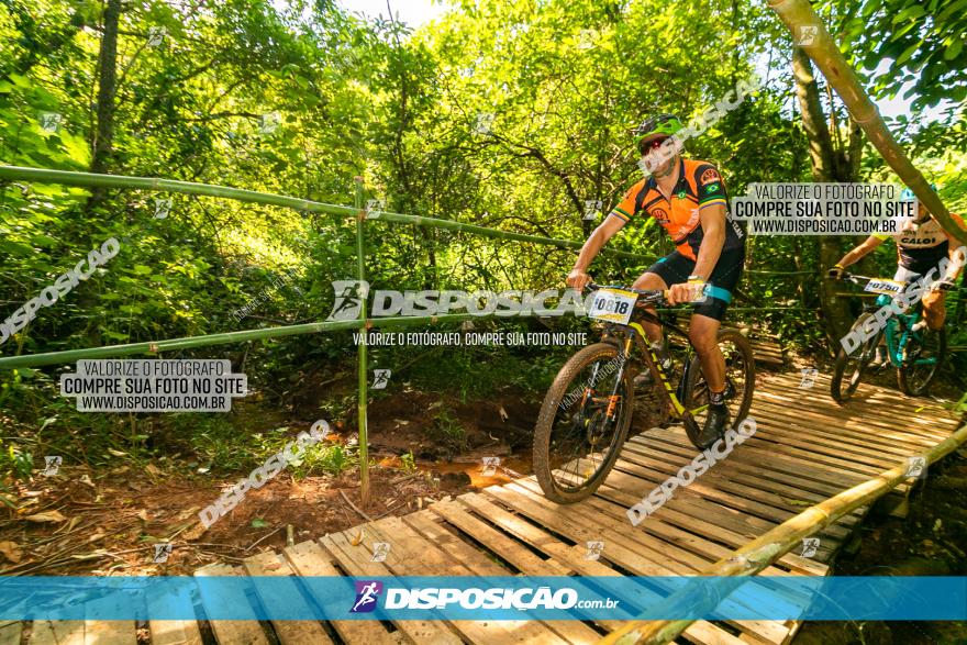 Circuito AEJ de Mountain Bike 2022