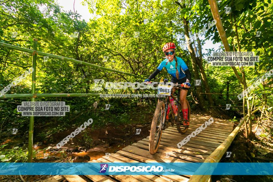 Circuito AEJ de Mountain Bike 2022