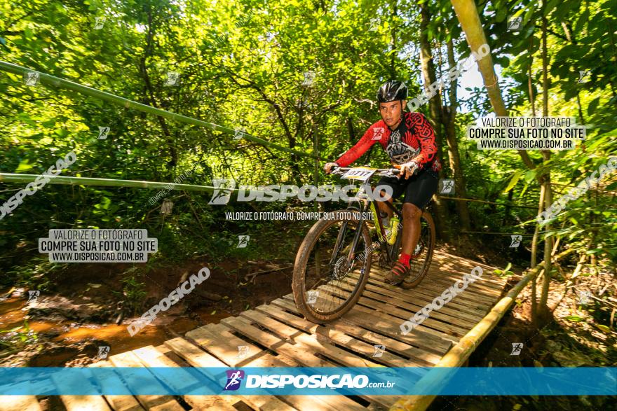 Circuito AEJ de Mountain Bike 2022